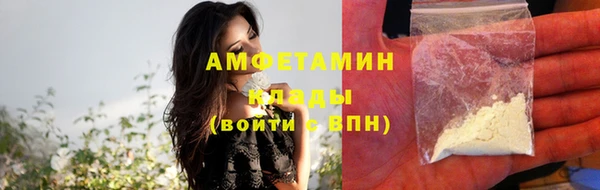 молекула духа Щигры