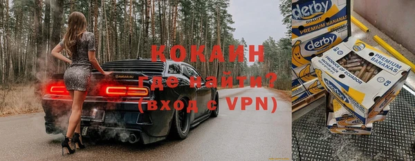 PSILOCYBIN Богданович