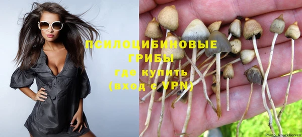 молекула духа Щигры