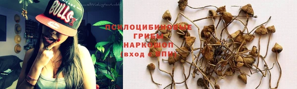 скорость Богородск
