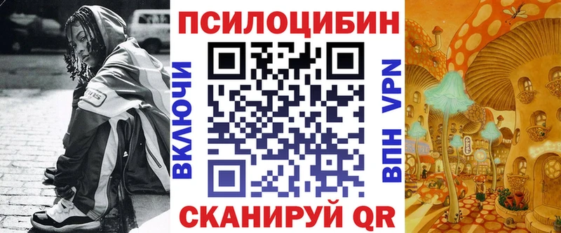 Псилоцибиновые грибы Cubensis  Моздок 