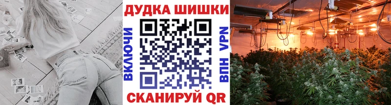 Каннабис MAZAR  Моздок 